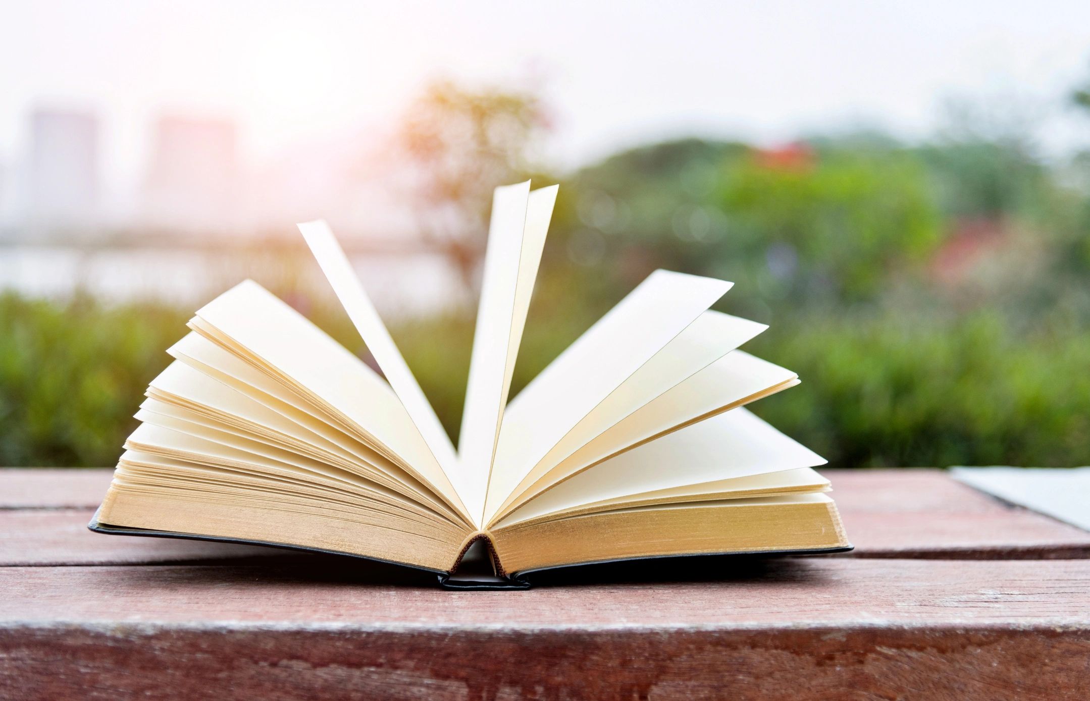 Open book resting on a wooden bench outdoors