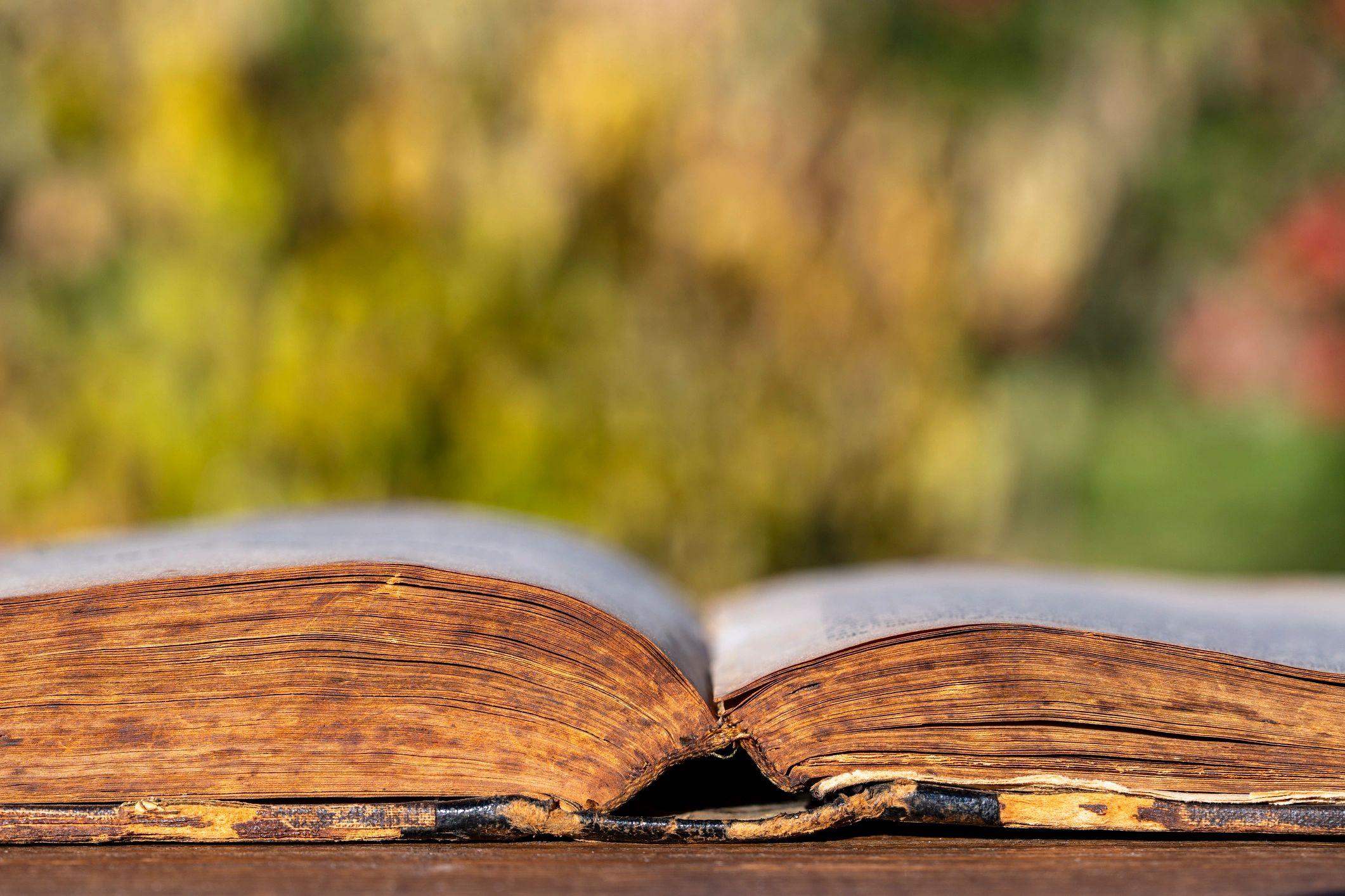 Open book on a wooden table in a summer garden